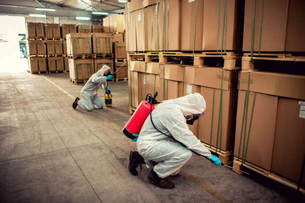 Best Termite Control Services  in Nutter Fort, WV