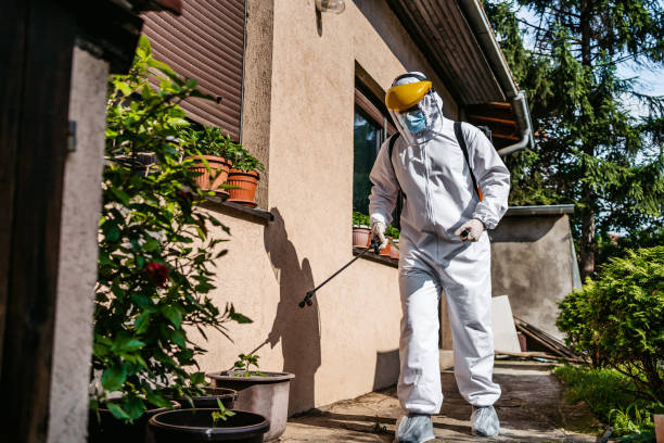 Best Best Pest Control Companies  in Nutter Fort, WV
