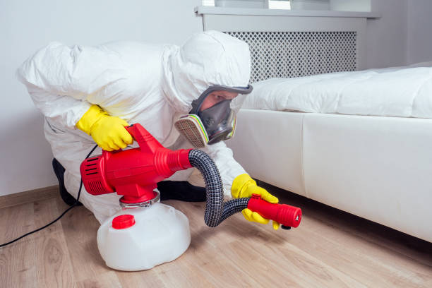 Best Bed Bug Extermination  in Nutter Fort, WV
