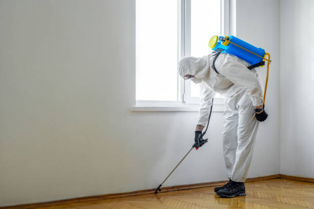 Best Local Pest Control Services  in Nutter Fort, WV