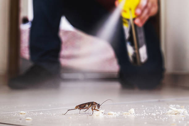 Best Best Pest Control Companies  in Nutter Fort, WV